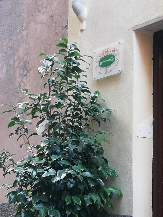 B&B Sotto Le Torri Albenga Zewnętrze zdjęcie